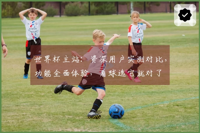 世界杯主站：资深用户实测对比，功能全面体验，看球选它就对了