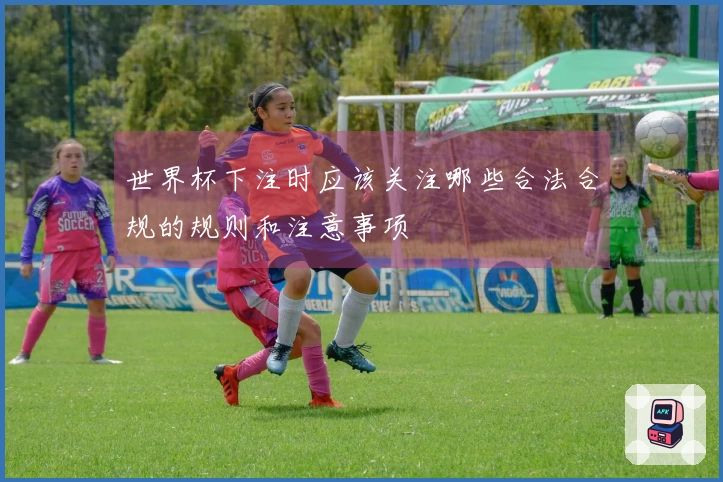 世界杯下注时应该关注哪些合法合规的规则和注意事项