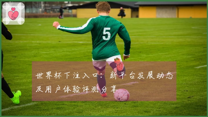 世界杯下注入口：新平台发展动态及用户体验评测分享