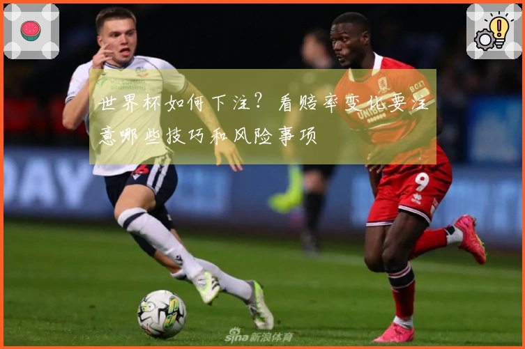 世界杯如何下注？看赔率变化要注意哪些技巧和风险事项