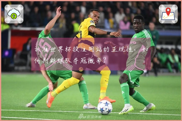 认准世界杯投注网站的正规性，如何判断球队夺冠概率？