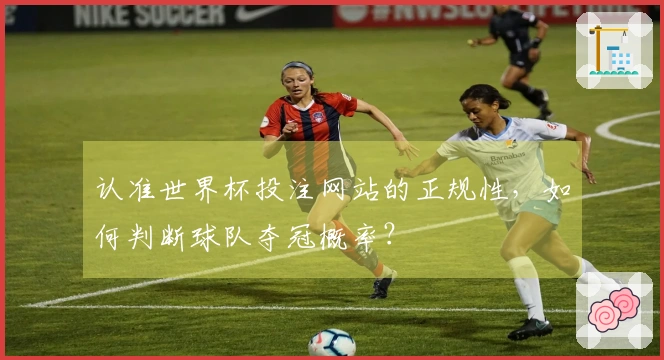 认准世界杯投注网站的正规性，如何判断球队夺冠概率？