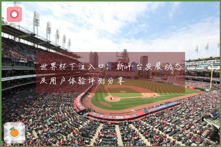 世界杯下注入口：新平台发展动态及用户体验评测分享